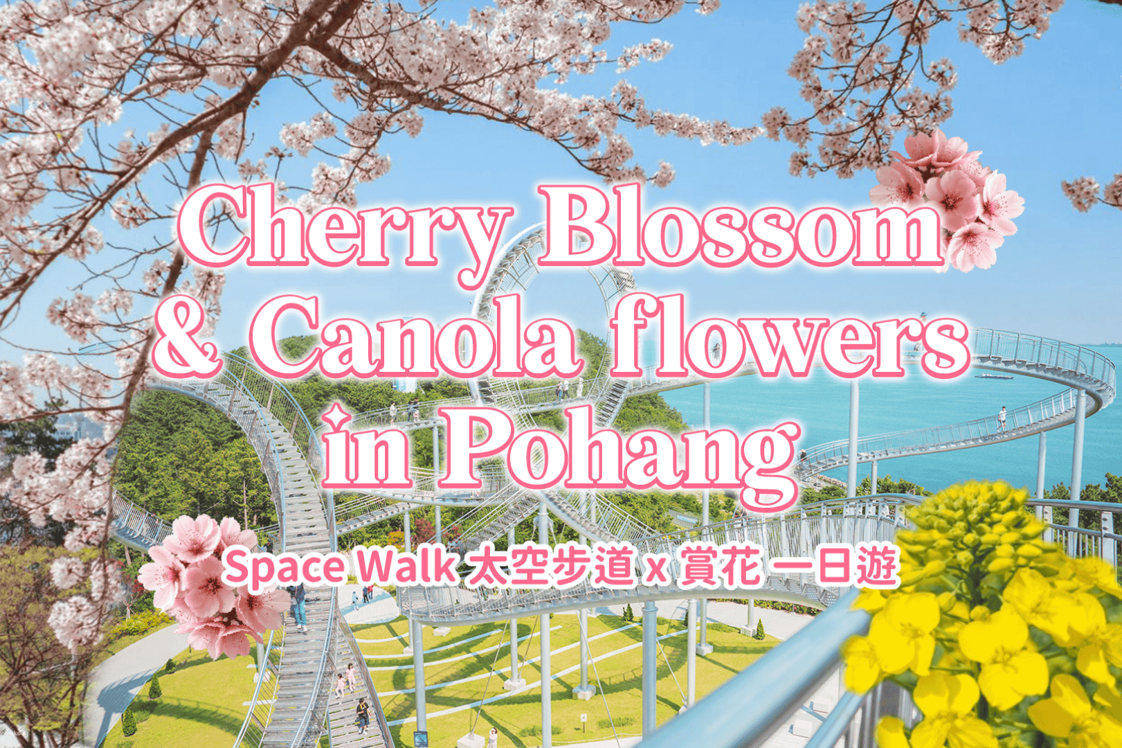 Pohang Day Tour｜Space Walk around Hwanho Park, Japanese House Path in Guryongpo, Cape Homi (Depart from Busan) - Photo 1 of 10